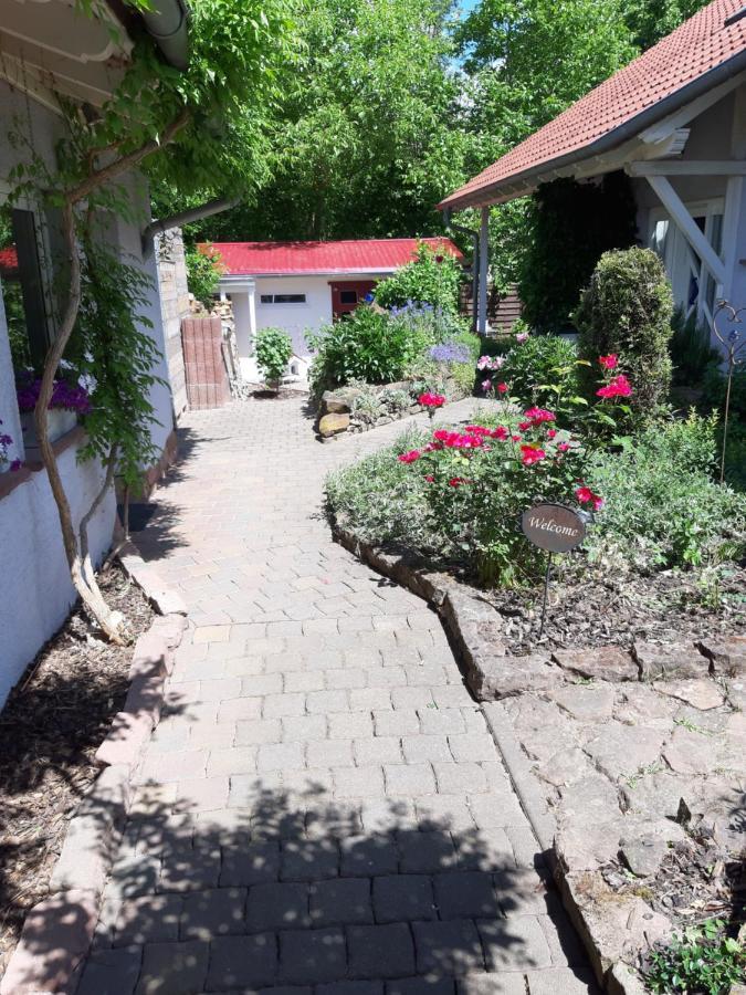 Ferienwohnung Im Schoenen Zellertal Wachenheim an der Weinstraße Exteriér fotografie